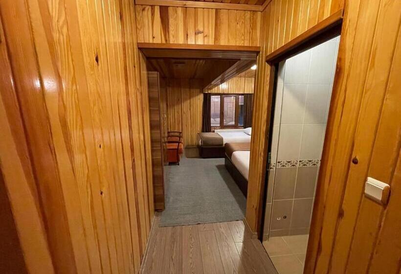 舒适型房间, Ozkan Otel