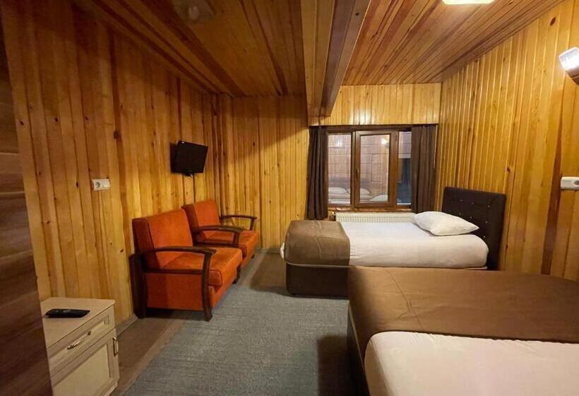 舒适型房间, Ozkan Otel