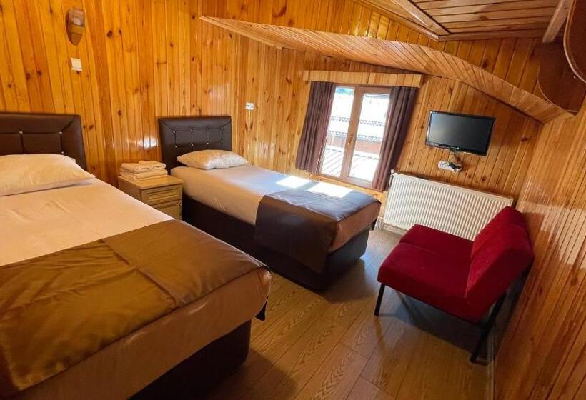 附加标准房间, Ozkan Otel