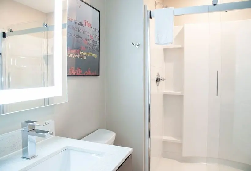 Standard-studio, Towneplace Suites By Marriott Mobile Saraland
