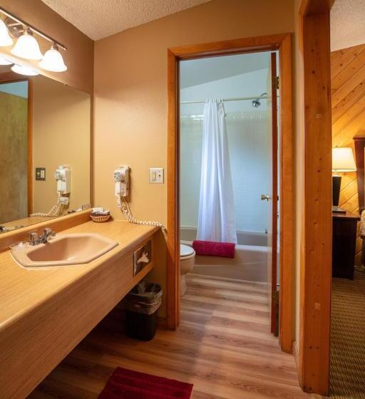 带大床的标准间, Ouray Inn