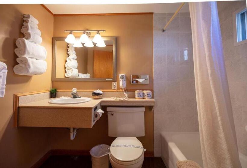 חדר סטנדרט, Ouray Inn