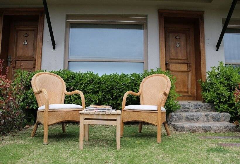 Семейный Номер Вид на Море, Assos Longevity