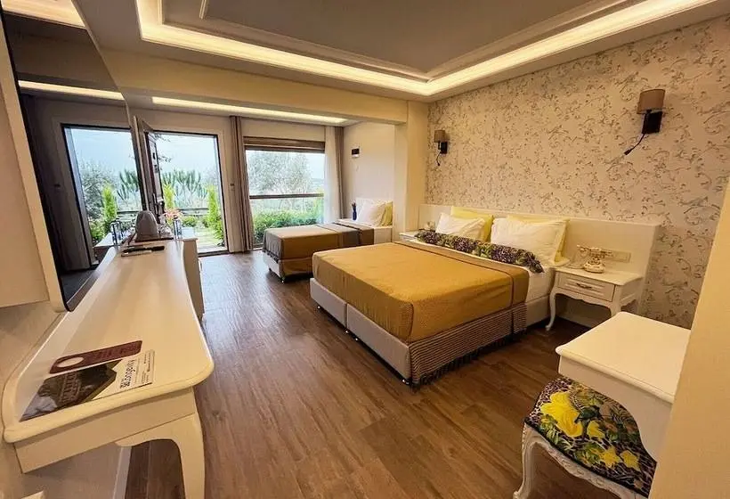 اتاق خانوادگی با چشمانداز دریا, Assos Longevity