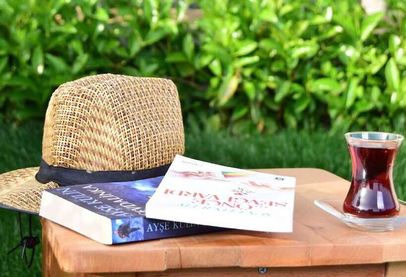 Семейный Номер Вид на Море, Assos Longevity