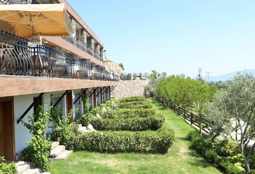 Семейный Номер Вид на Море, Assos Longevity