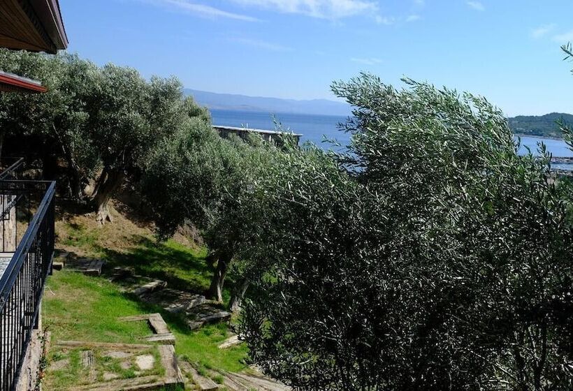 Номер Стандарт Вид на Море с Балконом, Assos Longevity