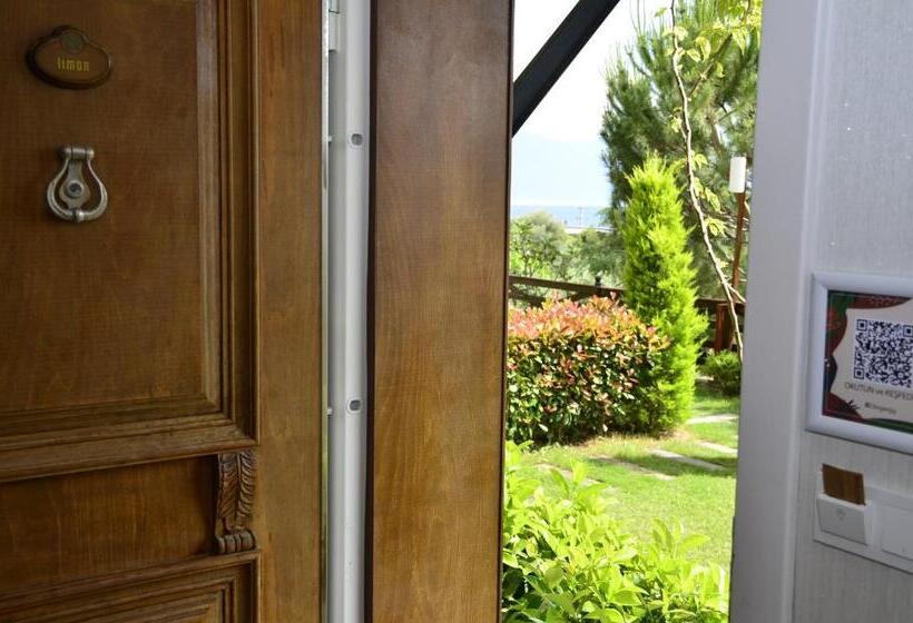 Семейный Номер Вид на Море, Assos Longevity