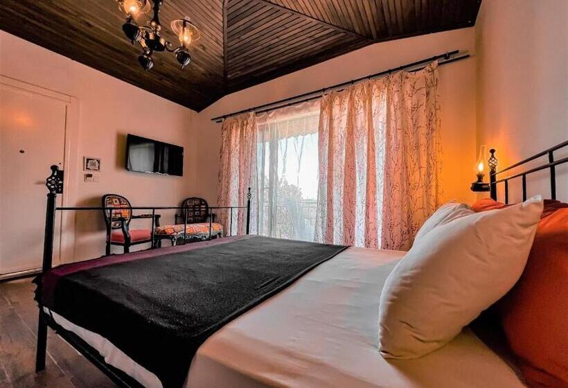 Номер Стандарт, Assos Longevity