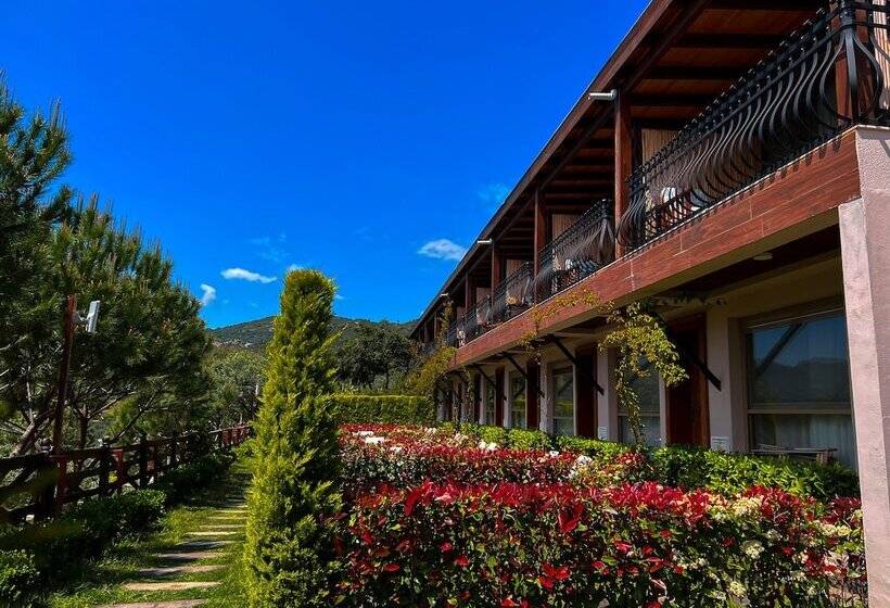 Семейный Номер Вид на Море, Assos Longevity