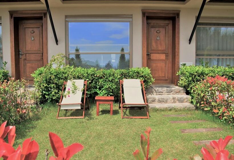 Семейный Номер Вид на Море, Assos Longevity