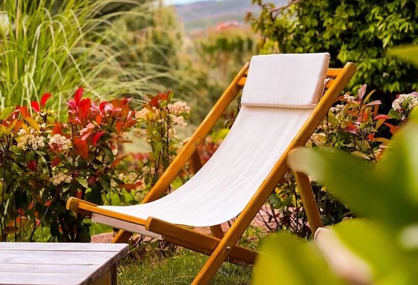 Семейный Номер Вид на Море, Assos Longevity