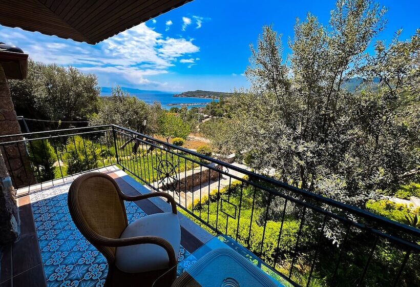 Номер Стандарт Вид на Море с Балконом, Assos Longevity