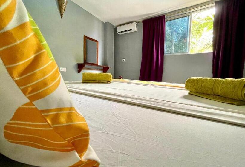 اتاق لوکس, Green S Nungwi