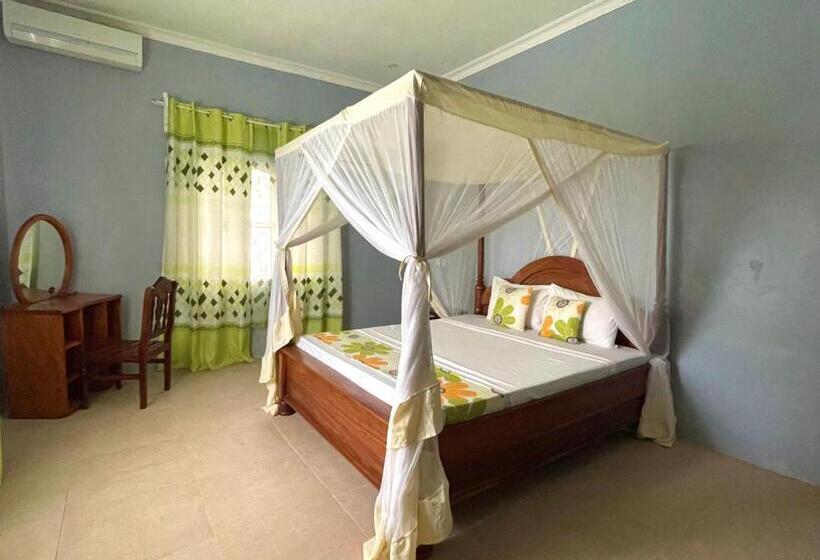 اتاق لوکس, Green S Nungwi