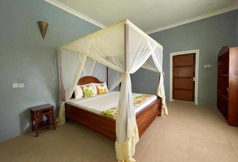 اتاق لوکس, Green S Nungwi