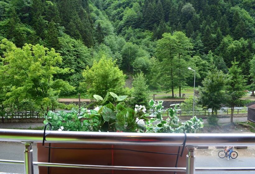 패밀리 룸, Ecrin Hotel Uzungol