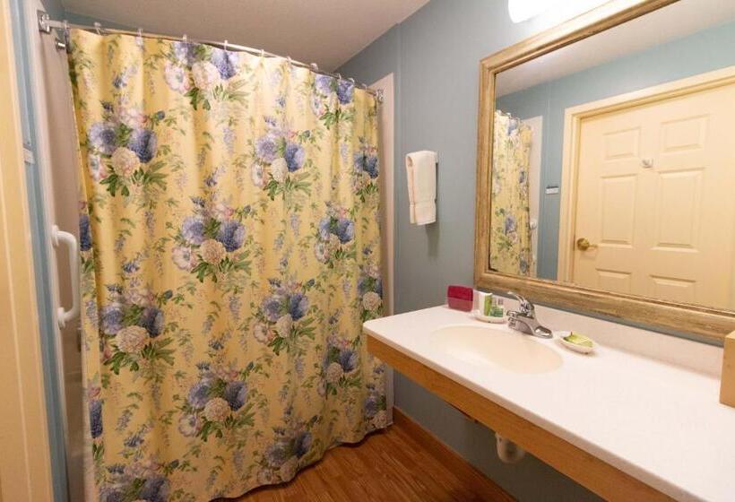 스탠다드 룸 킹사이즈 침대, Essenhaus Inn & Conf. Center
