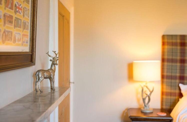 חדר דחוקס עם מיטת קינג, Belle Vue Guest House