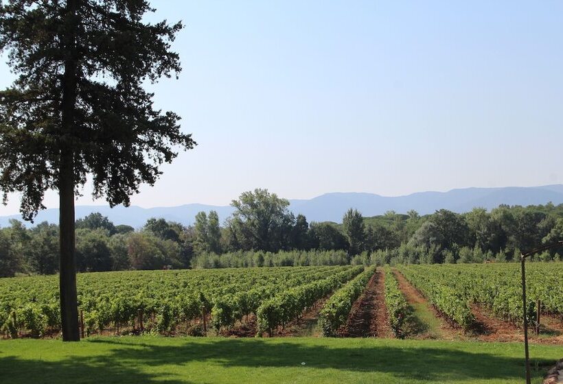 Семейный Номер, Chateau Saint Roux Le Lucle Cannet Des Maures