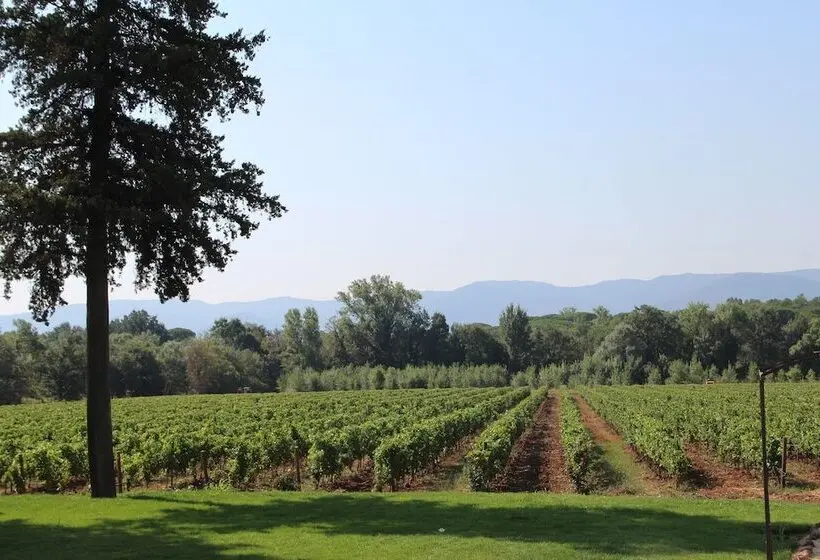 ファミリールーム, Chateau Saint Roux Le Lucle Cannet Des Maures