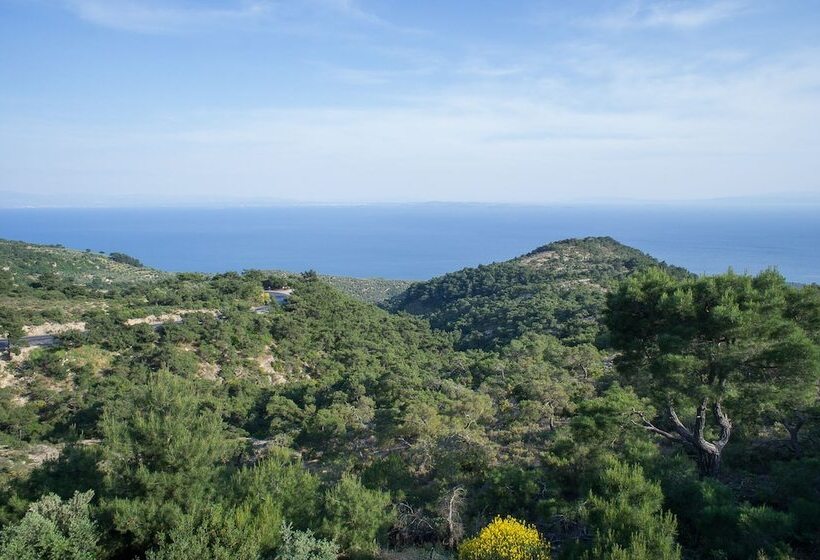 شقة دور أخير غرفة نوم واحدة, Farmidaya Biotel