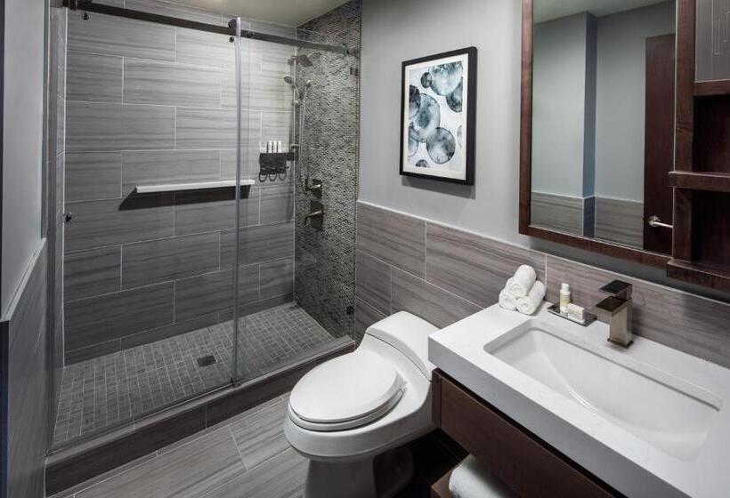 اتاق استاندارد, Indigo Flushing   Laguardia