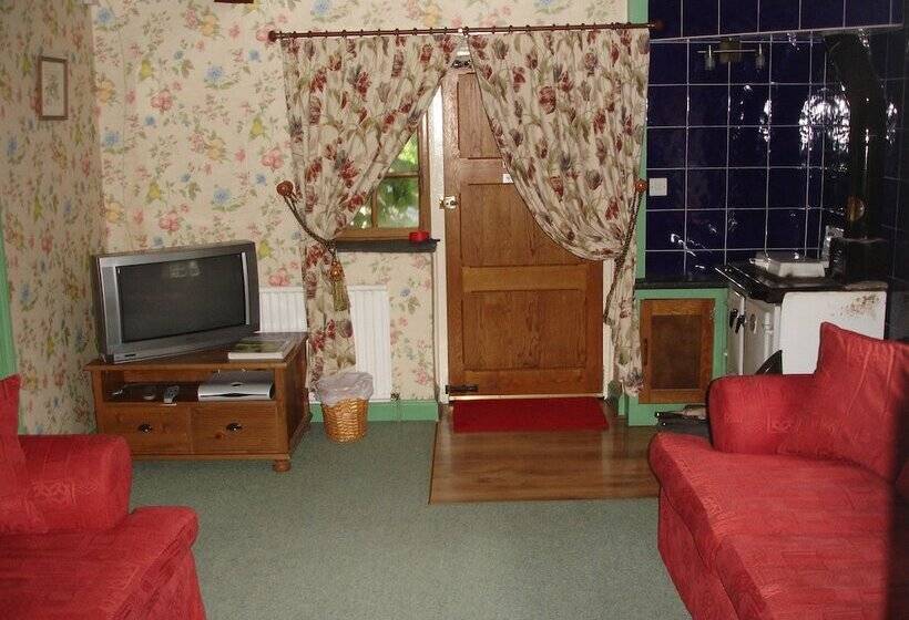 Номер Стандарт, The Clochfaen