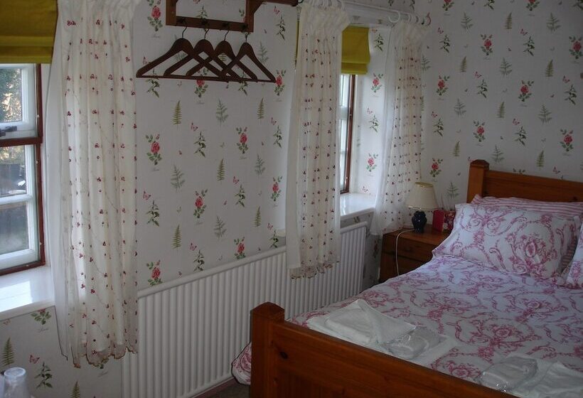 Номер Стандарт, The Clochfaen