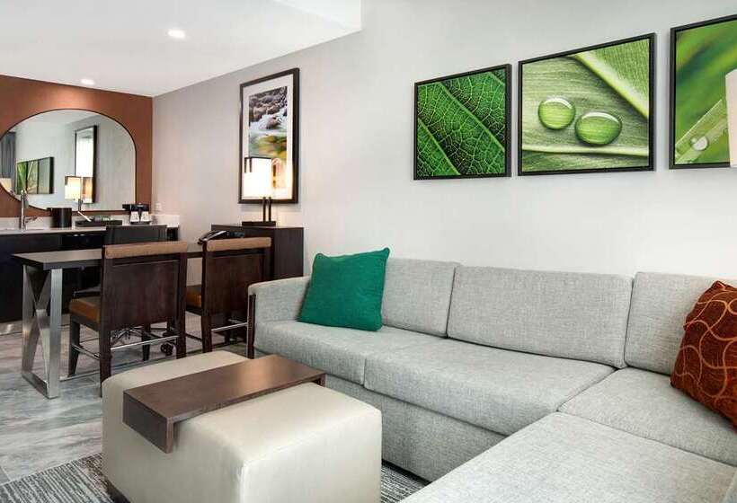 Suite, Homewood Suites By Hilton Chicago Downtown South Loop