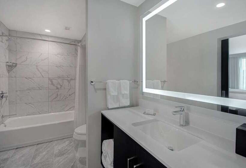 سوییت, Homewood Suites By Hilton Chicago Downtown South Loop