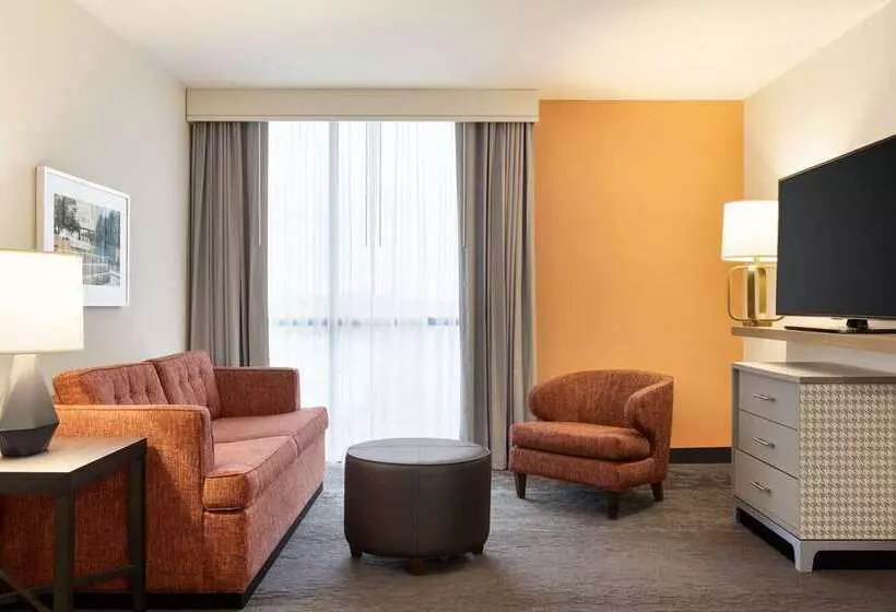 スイート, Homewood Suites By Hilton Chicago Downtown South Loop