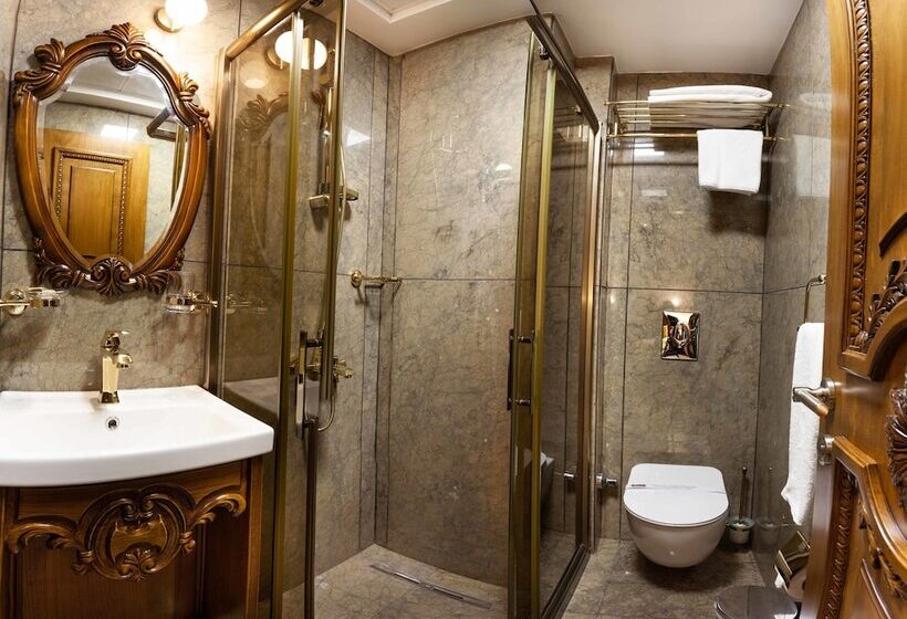 اتاق عادی یک تخته, Bablin Butik Otel