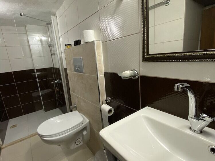 غرفة قياسية, Ebrulu Konak   Special Class