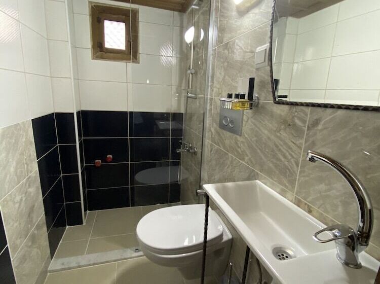 غرفة قياسية, Ebrulu Konak   Special Class