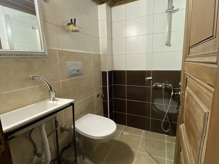 غرفة إقتصادية, Ebrulu Konak   Special Class