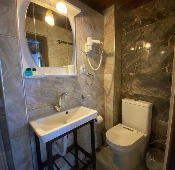 غرفة قياسية, Ebrulu Konak   Special Class