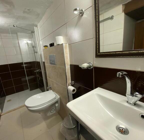 غرفة قياسية ثلاثية, Ebrulu Konak   Special Class