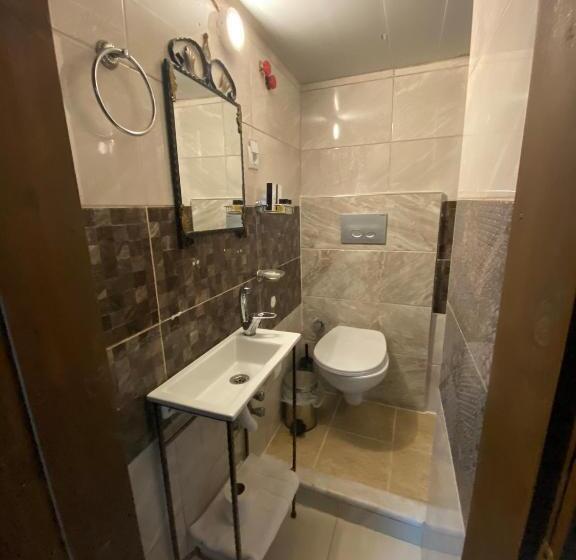 غرفة قياسية فردية, Ebrulu Konak   Special Class