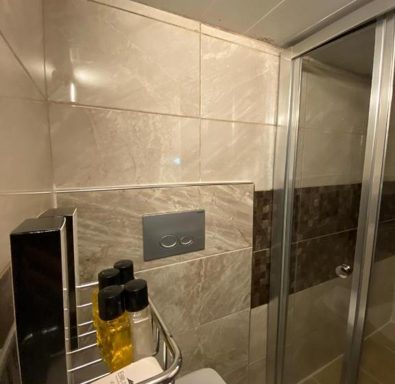 غرفة قياسية فردية, Ebrulu Konak   Special Class