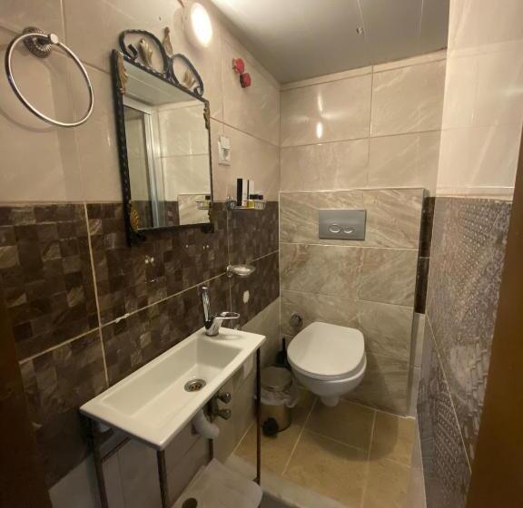 غرفة إقتصادية, Ebrulu Konak   Special Class