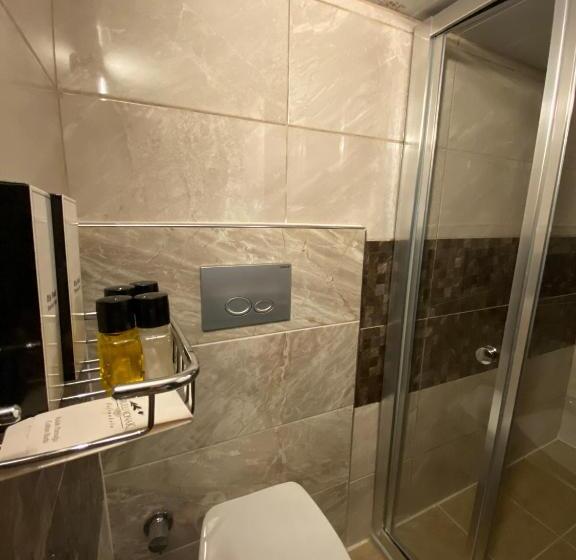 غرفة إقتصادية, Ebrulu Konak   Special Class