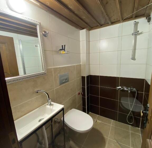 غرفة إقتصادية, Ebrulu Konak   Special Class