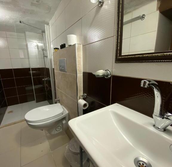 غرفة قياسية, Ebrulu Konak   Special Class