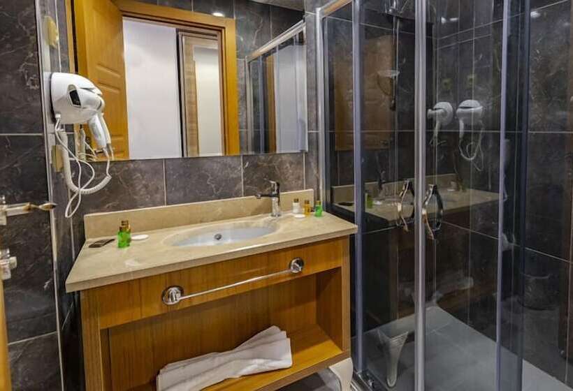 اتاق استاندارد, Işil Park