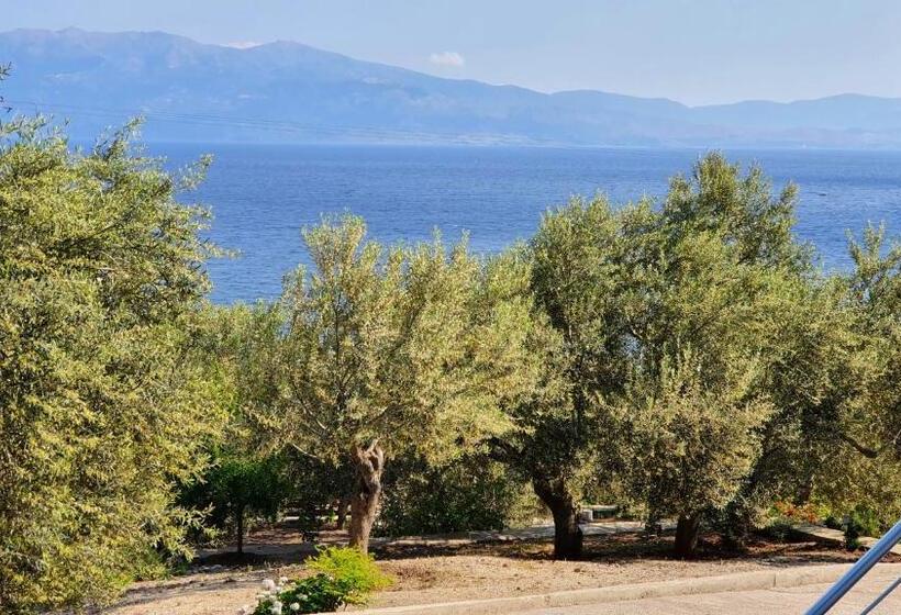 غرفة قياسية رباعية مطلة على البحر, Assos Nazan Motel Restoran Beach