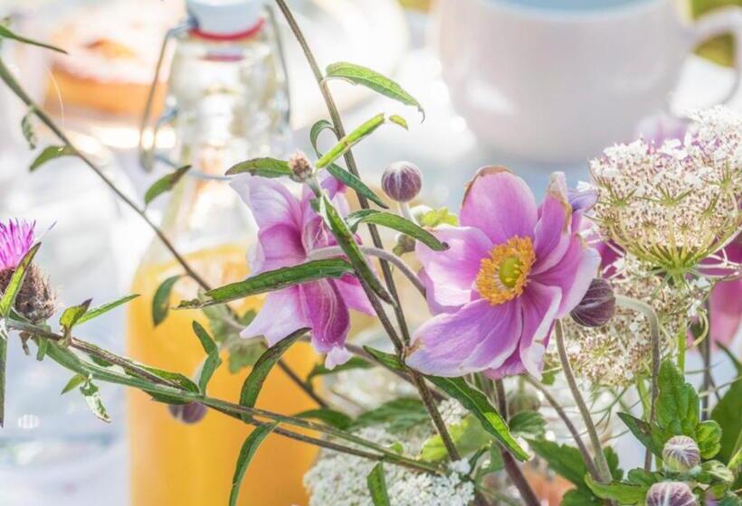 חדר סופריור, Les Gites De Kerégal   La Cabane De Charlotte