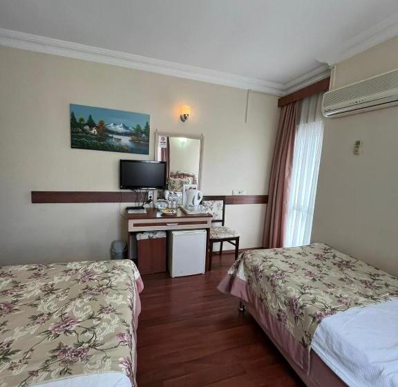 اتاق استاندارد یک نفره, Bayındır Palme