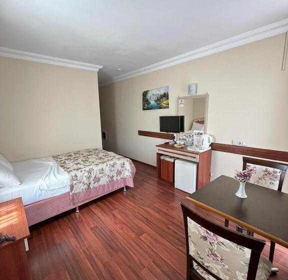 اتاق استاندارد, Bayındır Palme