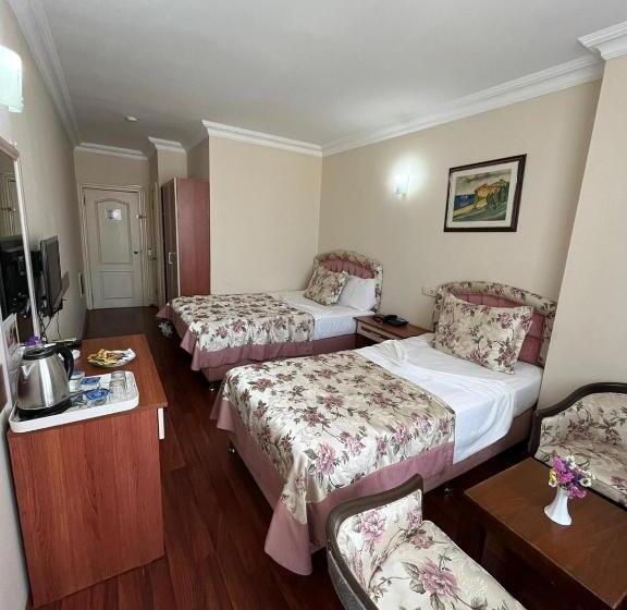 اتاق استاندارد سه نفره, Bayındır Palme